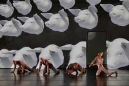 Dustin Klein Choreography