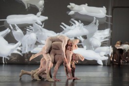 Dustin Klein Choreography