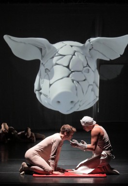 Dustin Klein Choreography