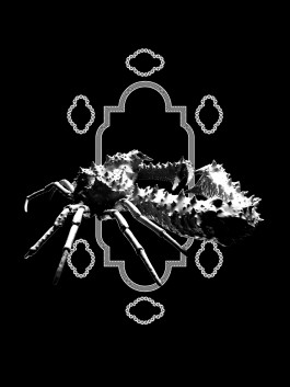 Dustin Klein Choreography